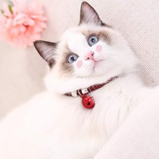 Ожерелье из реглабле из нейлона для животных Compagnie, с Cloche, для Petits Chats, Ensemble de Colliers pour Chatons (Дж. Ян Хонг)