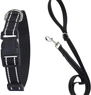 Ensemble Colliers Et Laisses Pour Chien – Портативные колье из полиэстера с букле À Dégagement Rapide, Harnais Pour Animaux De Compagnie, Sangle Réglable | Fournitures D'entraînement Pour Chiots E