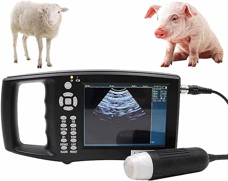 Портативный ультразвуковой аппарат с цифровой сонограммой 3,5 МГц для Chevres Cochons Chèvres Moutons