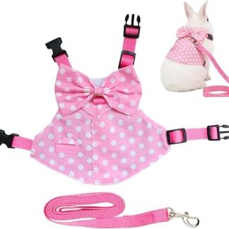 Регулируемый и респираторный костюм Harnais Anti-Evasion pour Lapin | Tenue pour Chat avec Longe et Nœud Papillon Pour lapin, Furet, Bébé Chat, écureuil, Promenade et randonnée