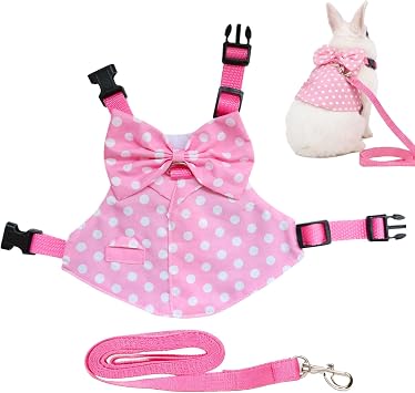 Жилет для лапинового костюма, регулируемый и респиратор | Tenue pour Chat avec Longe et Nœud Papillon pour lapin, Furet, , écureuil, экстерьер