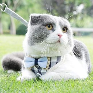 ZJchao Harnais pour Chien, Laisse pour Chat, Gilet en Maille Respirante en Polyester, Harnais pour Chiot, Sangle de Poitrine pour Animal Domestique, Corde de Traction pour Chiens de Petite, Moyenne