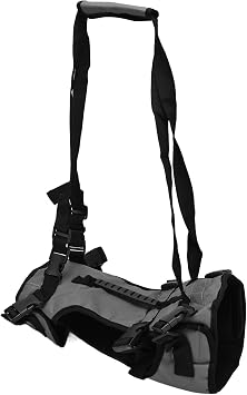 Acouto Chat Gilet Harnais Laisse Respirant élégant Multifonctionnel Animal de Compagnie Marche Laisse Chiens Gris L Sangle et Transport T Chien Harnais LaisseCat Gilet Réglable Chat Marche (L)