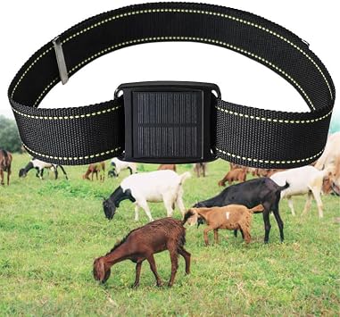 Traqueurs GPS d'animaux pour bétail - Солнечное питание, колье глубокое анти-купюр для pâturage en montagne