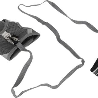 Ensemble de Harnais et de Laisse pour Chat, Vestes de Marche Réfléchissantes Réglables Anti-évasion avec Conception en Confortable pour la Marche, Le Jogging, L'ent (XS)