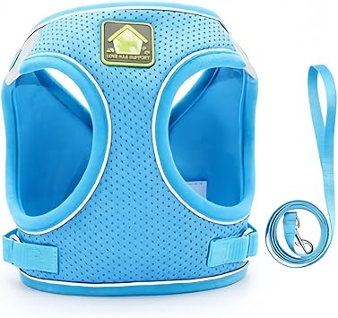Harnais et Laisse Réfléchissants Anti-Fuite pour Chat Mailage Léger et Doux с Anneau Metallique Robuste Portable для Promenade de Chaton et Voyage, Синий, XL