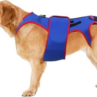 Attelle de soutien de la Colne vertebrale pour chien – 30,5 см – Anneau | en D avec Bandes Réfléchissantes pour Petit Chien – Помощь при травмах детей – Soutien intervertébral