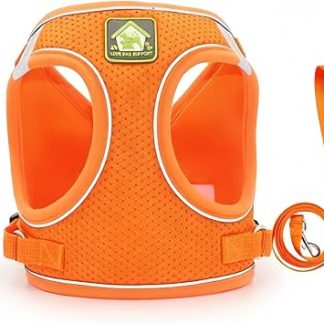 Harnais et Laisse Réfléchissants Anti-Fuite pour Chat Mailage Léger et Doux с Anneau Metallique Robuste Portable для Promenade de Chaton et Voyage, Orange, M