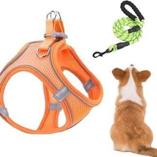 Жилет Ensemble Harnais Et Laisses Pour Petit Chien Gilet Регулируемый светоотражающий | Harnais Et Laisses Pour Chien Combo Pour Chat Randonnée Entraînement Extérieur Vétérinaire