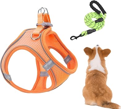 Жилет Ensemble Harnais Et Laisses Pour Petit Chien Gilet Регулируемый светоотражающий | Harnais Et Laisses Pour Chien Combo Pour Chat Randonnée Entraînement Extérieur Vétérinaire