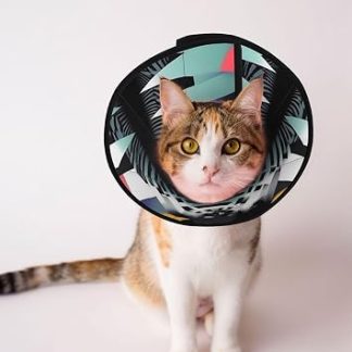 Cônes Personalisés pour Animaux de Compagnie – Уникальный дизайн для чата и подбородка, колье для восстановления после операции, регулируемое, геометрическая абстракция, Art1 S