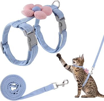 1 ансамбль harnais et laisse pourchat, pour la promenade, цветочный мотив и форма H, doux, reglable, respirant et réfléchissantes (голубой, хвост M)