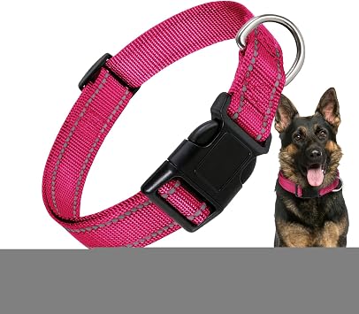 Светоотражающий колье для чата, Светоотражающий колье для Chien | Ожерелье для Chien à Boucle из нейлона | de Confort reglable pour, Collier pour à Boucle en