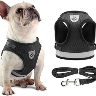Ансамбль harnais et laisse pour chien etchat - Gilet réfléchissant et réglable en maille pour petits chiens etchats - Taille XS à XL - Noir