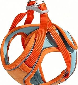 2026 Ensemble harnais et laisse pourchat, gilet reglable, anti-fuit, refléchissant doux et respirant pourchats de petite et moyenne Taille (Оранжевый, S)