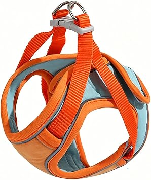 2026 Ensemble harnais et laisse pourchat, gilet reglable, anti-fuit, refléchissant doux et respirant pourchats de petite et moyenne Taille (Оранжевый, S)