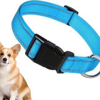 Ожерелье для Chien en Nylon, Ожерелье для чата réfléchissant - Ожерелье de | Комфорт для здоровья | de Confort reglable pour, Collier pour à Boucle en Nylon pour Divers Chiens, Grand