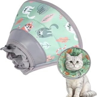 Collier élisabéthain pourchat, réglable et doux, léchage anti-morsure Collares Elizabeth Chien, pour animaux homes, chiens et talks - Восстановление после травм (vert menthe, M)