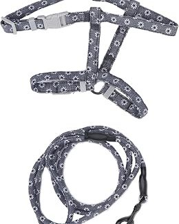 Qcwly Harnais pour Chat avec Laisse, Harnais de Marche Réglable, Tissu Doux pour Chatons et Petits Animaux (S)
