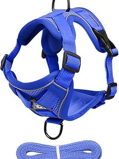 Harnais Chat Anti-Fuite Регулируемый респиратор Doux Anti-Evasion | Harnais Gilet Chat Respirant Doux Réglable Anti-Fugue Promenade pour Chatons et Chiens de Petite