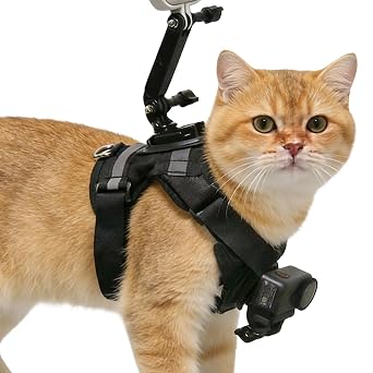 Чат по борьбе с уклонением Harnais Avec поддержка камеры регулируемая | Harnais pour Chat de Taille Moyenne pour Caméra d'Action Pour toutes гонки, шатоны, интерьер, , randonnée, променад,
