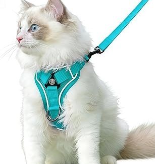 Harnais et Laisse Réfléchissants Anti-Fuite pour Chat Mailage Léger et Doux с Anneau Metallique Robuste Portable для Promenade de Chaton et Voyage,Green,S