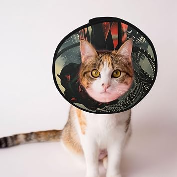 Cônes Personalisés pour Animal de Compagnie – Уникальный дизайн колье для чата и подбородка для восстановления после операции, регулируемый, розовый флуоресцентный румянец, пояс L