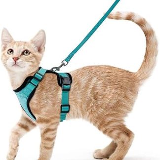 Harnais et Laisse pour Chat Ensemble Harnais Anti-Fuite pour Chaton с Laisse Anneau Métallique Portable Léger et Doux Idéal pour la Promenade et le Voyage du Chaton,Blue,M