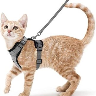 Harnais et Laisse pour Chat Ensemble Harnais Anti-Fuite pour Chaton с Laisse Anneau Métallique Portable Léger et Doux Idéal pour la Promenade et le Voyage du Chaton, Grey, M