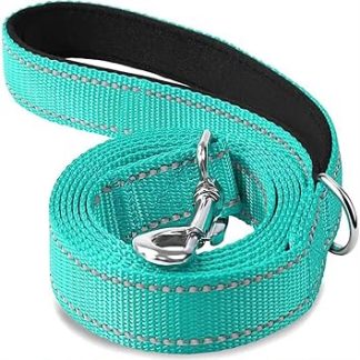 Longe pour chien, Collier de harnais for chiens et talks, sangel en plomb, reflexion nocturne, corde remorquage for animaux compagnie (голубой, 2,5x120см)