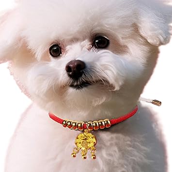 Collier Nouvel An Pour Animaux Collier Rouge Chat Nouvel An | Ожерелье canin Fêtes et soirées Nouvel An, собрания, мероприятия, праздники,