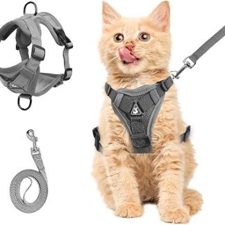 Harnais anti-éclatement pourchat avec laisse - Harnaissople réglable pourchat - En tissu respirant et refléchissant - Gris - Tailles S à XL (gris, S)