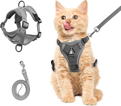 Harnais anti-éclatement pourchat avec laisse - Harnaissople réglable pourchat - En tissu respirant et refléchissant - Gris - Tailles S à XL (gris, S)