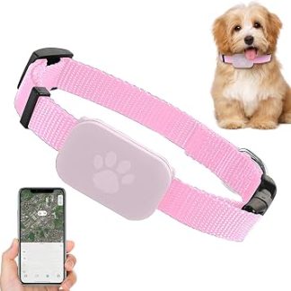 Collier De Chat Protection Sécurité Réglable | Collier GPS Pour s Pour Votre Chien, Votre Chat, , Animal, Confortable à Porter, Localizer