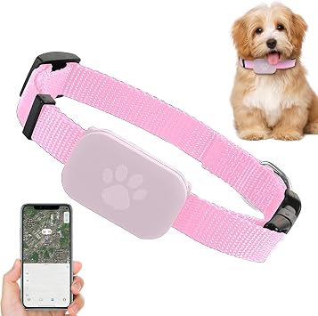 Collier De Chat Protection Sécurité Réglable | Collier GPS Pour s Pour Votre Chien, Votre Chat, , Animal, Confortable à Porter, Localizer