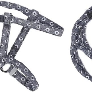 HEEPDD Harnais pour Chat avec Ensemble de Laisse, Harnais de Marche pour Chatons et Petits Animaux, Parfait pour les Aventures en Plein Air pour Chat avec Ensemble de Laisse, Fournitures pour Nan