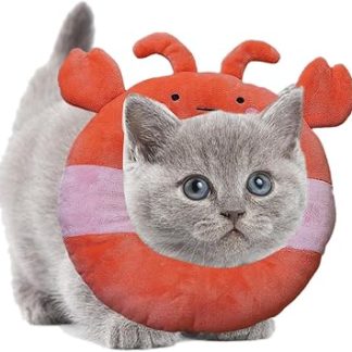 Колье для восстановления для общения, col de crabe mignon | колье élisabéthain reglable с бордюрами doux, почтовая защита, аксессуар для восстановления для компании с животными с