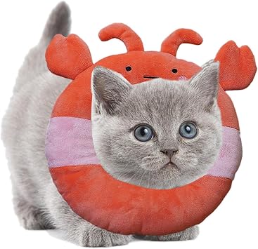 Колье для восстановления для общения, col de crabe mignon | колье élisabéthain reglable с бордюрами doux, почтовая защита, аксессуар для восстановления для компании с животными с