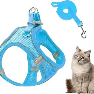 Ensemble Harnais Et Laisse Pour Chat Респирант Антифуит Регулируемые шиоты | Harnais Anti-Traction Pour Chien Avec Laisses Pour Chat Randonnée Entraînement Extérieur Vétérinaire