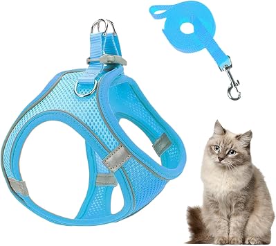 Ensemble Harnais Et Laisse Pour Chat Респирант Антифуит Регулируемые шиоты | Harnais Anti-Traction Pour Chien Avec Laisses Pour Chat Randonnée Entraînement Extérieur Vétérinaire