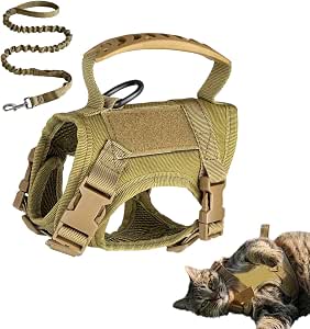 Шлейка для чата Tissu Mesh Respiré et Comfortable | Регулируемое колье для чата или chien pour Promenade, , Тренировка, Кемпинг, Toutes Tailles S M L