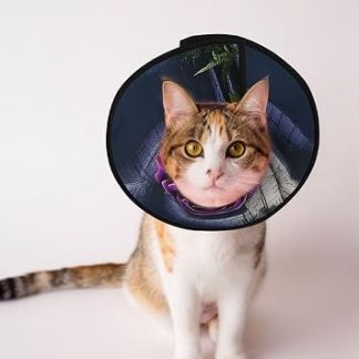 Cônes Personalisés pour Animaux de Compagnie – Уникальный дизайн для чата и подбородка, колье для послеоперационного восстановления, регулируемый, розово-фиолетовый фон, хвост S