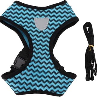 HEEPDD Ensemble de Laisse de Collier pour Chien, pour le Contrôle, Harnais Réfléchissant pour Animaux de Compagnie pour Chiens et Chats de Petite et Moyenne Taille, Ensemble de Laisse de Collier de