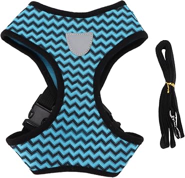 HEEPDD Ensemble de Laisse de Collier pour Chien, pour le Contrôle, Harnais Réfléchissant pour Animaux de Compagnie pour Chiens et Chats de Petite et Moyenne Taille, Ensemble de Laisse de Collier de