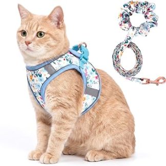 Harnais pour Chat avec laisse, анти-уклонение, doux et respirant, avec reflexe reglaable, жилет в почтовом отделении и respirante pour petits animaux de compagnie