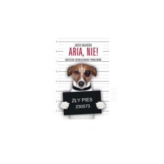 Книга ARIA, НЕТ! Эффективное решение проблем